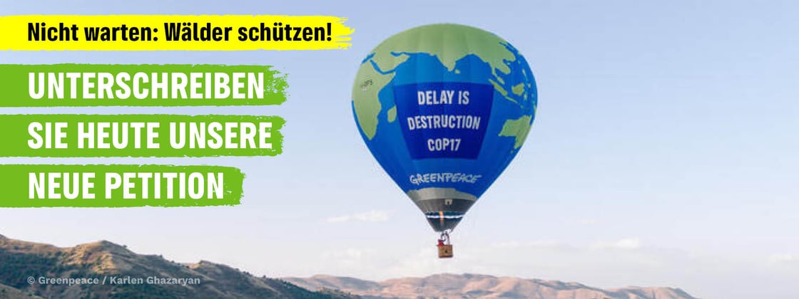 Greenpeace-Heißluftballon mit der Botschaft an die Welt: „Delay is Destruction“