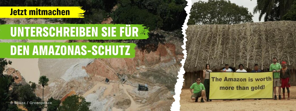 Amazonas Petition unterzeichnen