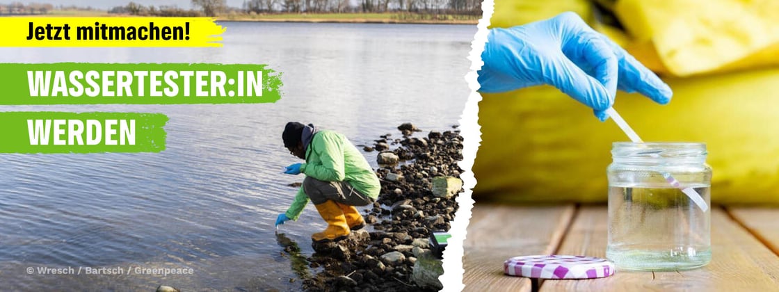 Links im Bild nimmt eine Person eine Wasserprobe aus einem See. Rechts im Bild wird ein Teststreifen in die Wasserprobe gehalten.