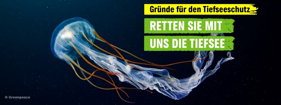 Sieben Gründe für den Schutz der Tiefsee