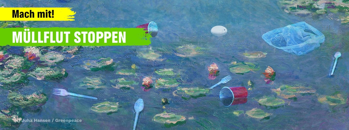 See mit Seerosen und Plastikmüll.