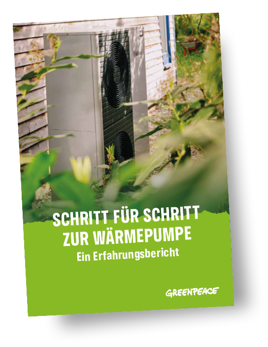 Titel_Ratgeber Wärmepumpe m Schatten