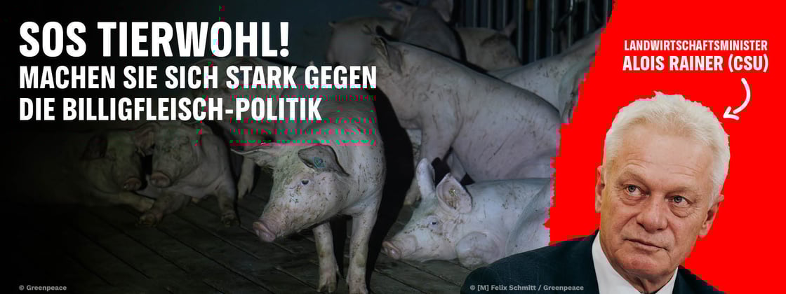 newsletter-petition-auftakt